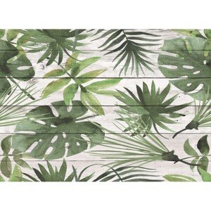 Crearreda Samolepiaci kuchynský panel 67283 prírodný motív, 470 x 650 mm