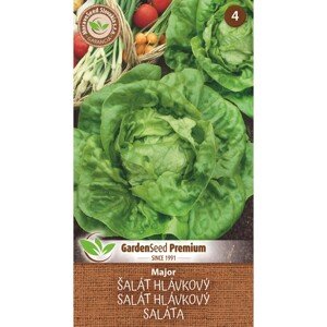 MoravoSeed Semienka Šalát hlávkový Major