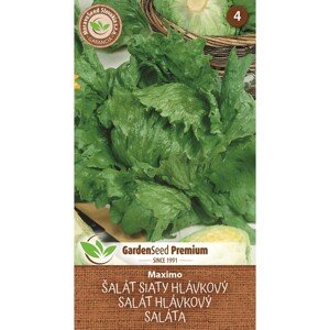 MoravoSeed Semienka Šalát hlávkový Maximo