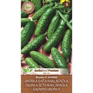 MoravoSeed Semienka Uhorka siata nakladačka Blanka F1 Hybrid