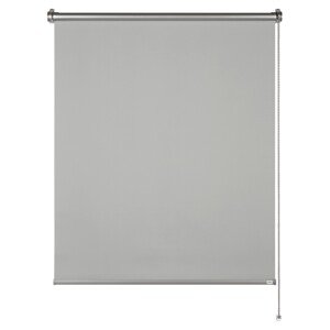 Schöner Wohnen Zatemňovacia termo roleta Martha svetlo sivá 60 x 150 cm