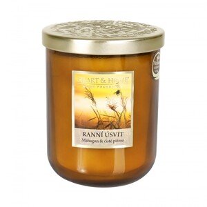 Albi Vonná sviečka Heart & Home, rôzne druhy, pr. 8,5 x 12 cm