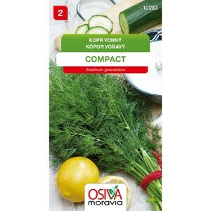 Semienka Kôpor vonný Compact (Anethum graveolens)