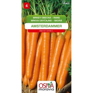 Semienka Mrkva obyčajná raná Amsterdammer (Daucus carota L.)