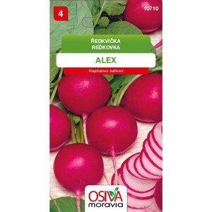 OSIVA Moravia Reďkovka "Alex" (Raphanus sativus)