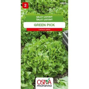 OSIVA Moravia Šalát listový "Green Pick" (Lactuca sativa)