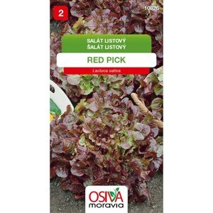 OSIVA Moravia Šalát listový "Red Pick" (Lactuca sativa)