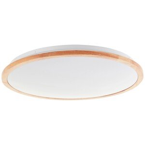 Brilliant Stropné LED svietidlo Bario, 36W, 3000-6500K, 4500lm, pr. 52 cm