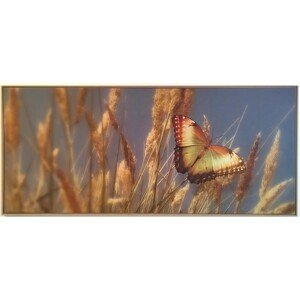 Bondecor Obraz, MDF rám, SHADOW Butterfly 59 x 134 cm