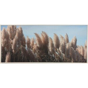 Bondecor Obraz, MDF rám, SHADOW Pampa 59 x 134 cm