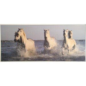 Bondecor Obraz, MDF rám, SHADOW Kone white 59 x 134 cm