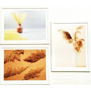 Bondecor Súprava obrazov Pink 42 x 98 cm