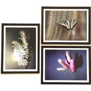 Bondecor Súprava obrazov Dark 42 x 98 cm