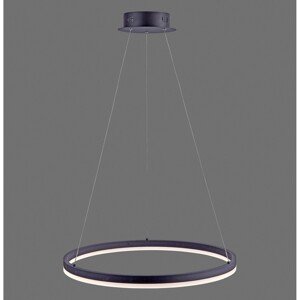 Paul Neuhaus Závesné LED svietidlo Titus, 38W, 5250lm, antracit, pr. 60 x 120 cm