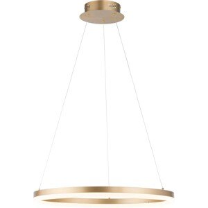 Paul Neuhaus Závesné LED svietidlo Titus, 38W, 5250lm, mat.mosadz, pr. 60x120 cm