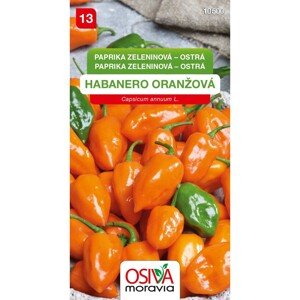 Semienka Paprika zeleninová ostrá Habanero oranžová (Capsicum annuum L.)