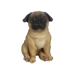 Sunny Garden Dekoratívna figúrka mops rôzne druhy 22 cm, 1 ks