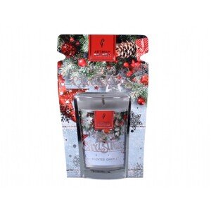 Artman Candles Vonná sviečka v skle FOR YOU Baked Apple 130 g