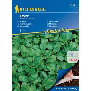 KIEPENKERL Poľníček (Valerianella locusta) Favor F1