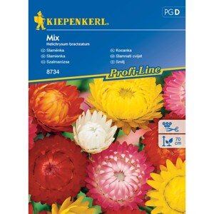 KIEPENKERL Slamienka (Helichrysum bracteatum) Mix