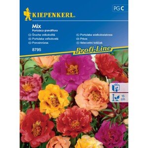KIEPENKERL Porucha veľkokvetá (Portulaca grandiflora) Mix