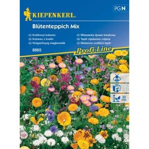 KIEPENKERL Kvetinový koberec