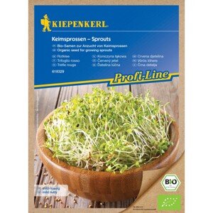 KIEPENKERL Červená ďatelina (Trifolium pratense) klíčky