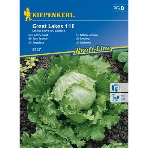 KIEPENKERL Ľadový šalát (Lactuca sativa var.capitata) Great Lakes 118