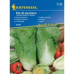 KIEPENKERL Čakanka hlávková (Cichorium intybus var.foliosum) Pan di zuchero