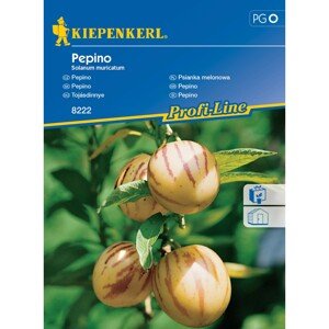 KIEPENKERL Pepino (Solanum muricatum)