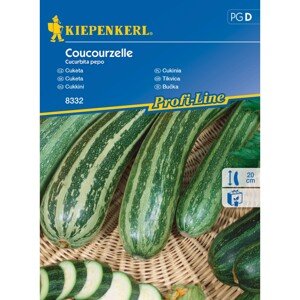 KIEPENKERL Cuketa (Cucurbita pepo) Coucourzelle