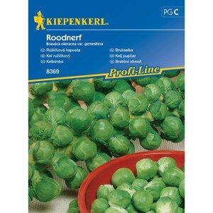 KIEPENKERL Ružičkový kel (Brassica oleracea var. gemmifera) Roodnerf