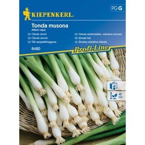 KIEPENKERL Cibuľa zimná (Allium cepa) Tonda musona