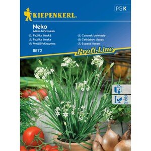 KIEPENKERL Pažítka čínska (Allium tubersoum) Neko