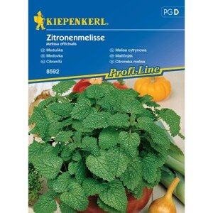 KIEPENKERL Medovka (Melissa officinalis) citrónová