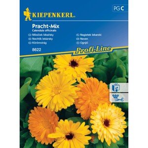 KIEPENKERL Nechtík lekársky (Calendula officinalis) Pracht-Mix