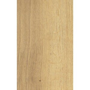 Obklad CCR160-1 Wood 25 x 40 cm