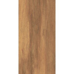 Dlažba SGR373-1 Alterwood Brown 30 x 60 cm