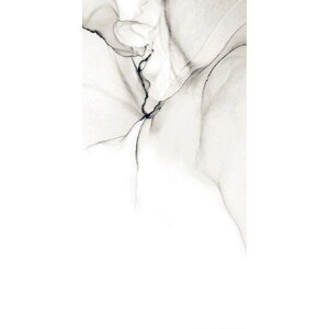 Dlažba PORTOBELLO 60 x 120 cm