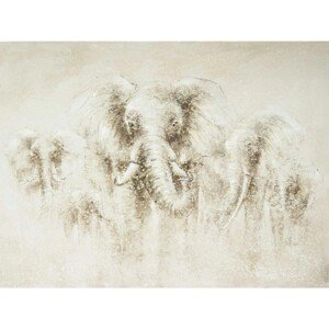 FALC Maľovaný obraz slony, 90 x 120 cm
