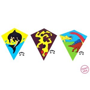 Lietajúci drak (český obal), rôzne druhy, 72 x 68 cm