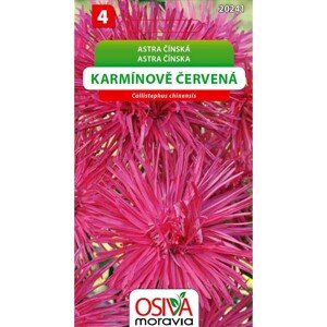 OSIVA Moravia Astra čínska - karmínovo červená (Callistephus chineasis)