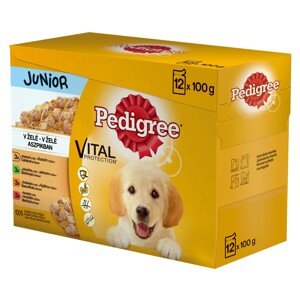 Pedigree Kapsičky pre psov JUNIOR v želé 12 x 100 g